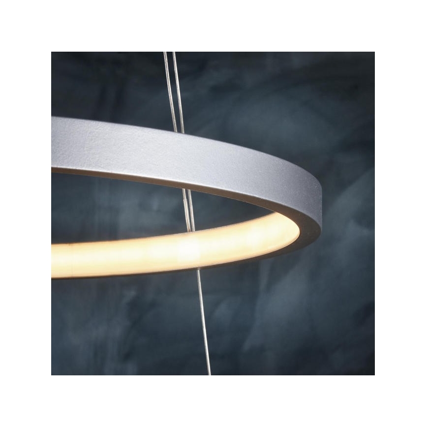 Leuchten Direkt 11525-21 - LED Żyrandol na lince CIRCLE 1xLED/15W/230V + LED/25W