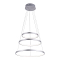Leuchten Direkt 11526-55 - Żyrandol LED ściemnialny na linkach CIRCLE LED/13,5W/230V + LED/19,5W + LED/24W