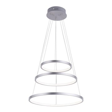 Leuchten Direkt 11526-55 - Żyrandol LED ściemnialny na linkach CIRCLE LED/13,5W/230V + LED/19,5W + LED/24W