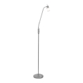 Leuchten Direkt 11938-55 - LED Lampa stojąca MAX LED 1xGU10/4W/230V