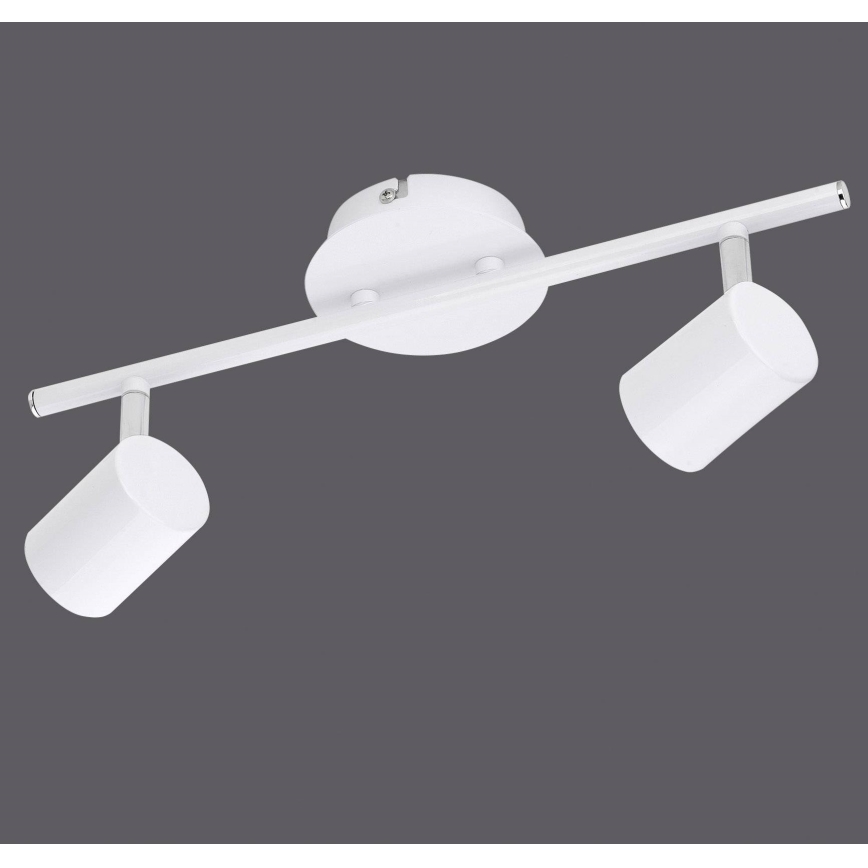 Leuchten Direkt 11942-16 - LED Oświetlenie punktowe TARIK 2xGU10/5W/230V białe