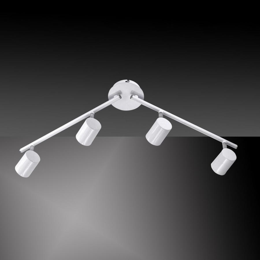 Leuchten Direkt 11944-16 - LED Oświetlenie punktowe TARIK 4xGU10/5W/230V białe