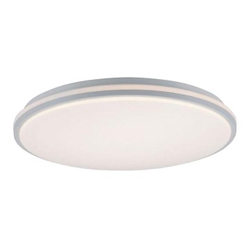 Leuchten Direkt 14208-16 - LED Ściemniany plafon COLIN LED/18W/230V