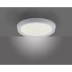 Leuchten Direkt 14217-16 - LED Oświetlenie ściemniane LORENA LED/35W/230V szare + pilot