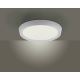 Leuchten Direkt 14217-16 - LED Oświetlenie ściemniane LORENA LED/35W/230V szare + pilot