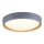 Leuchten Direkt 14347-15 - LED regulowane oświetlenie sufitowe EMILIA LED/28,8W/230V szary