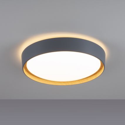 Leuchten Direkt 14347-15 - LED regulowane oświetlenie sufitowe EMILIA LED/28,8W/230V szary