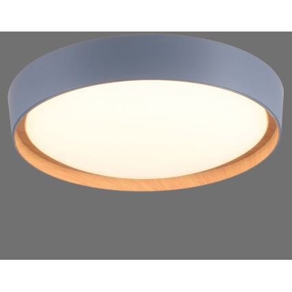 Leuchten Direkt 14347-15 - LED regulowane oświetlenie sufitowe EMILIA LED/28,8W/230V szary