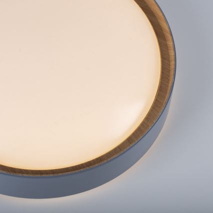 Leuchten Direkt 14347-15 - LED regulowane oświetlenie sufitowe EMILIA LED/28,8W/230V szary