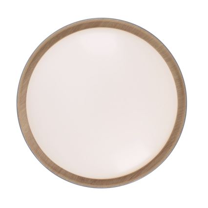 Leuchten Direkt 14347-15 - LED regulowane oświetlenie sufitowe EMILIA LED/28,8W/230V szary