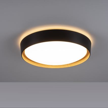 Leuchten Direkt 14347-18 - LED Lampa ściemnialna EMILIA LED/28,8W/230V czarna