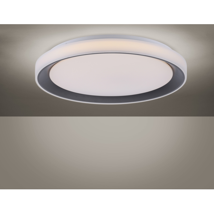 Leuchten Direkt 14659-18 - LED RGB Plafon ściemnialny LOLA LED/24W/230V Tuya + Pilot