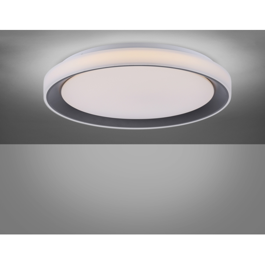 Leuchten Direkt 14659-18 - LED RGB Plafon ściemnialny LOLA LED/24W/230V Tuya + Pilot