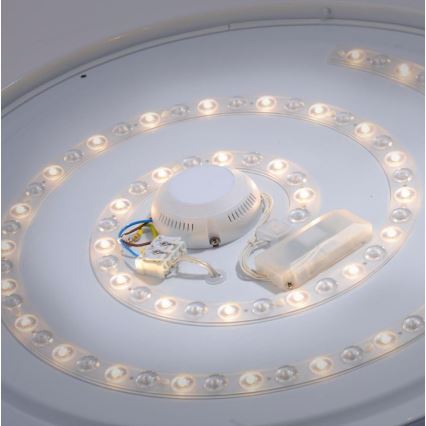 Leuchten Direkt 14822-17 - LED Plafon łazienkowy z czujnikiem LAVINIA LED/40W/230V IP44