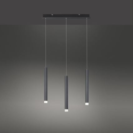 Leuchten Direkt 15203-18 - LED Żyrandol na lince 3xLED/4,8W/230V czarny