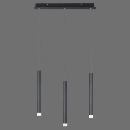 Leuchten Direkt 15203-18 - LED Żyrandol na lince 3xLED/4,8W/230V czarny