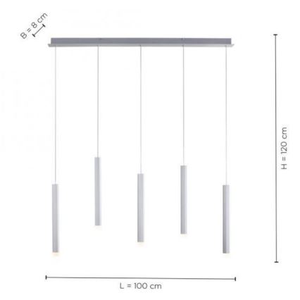 Leuchten Direkt 15205-95 - LED Żyrandol na lince BRUNO 5xLED/4,8W/230V