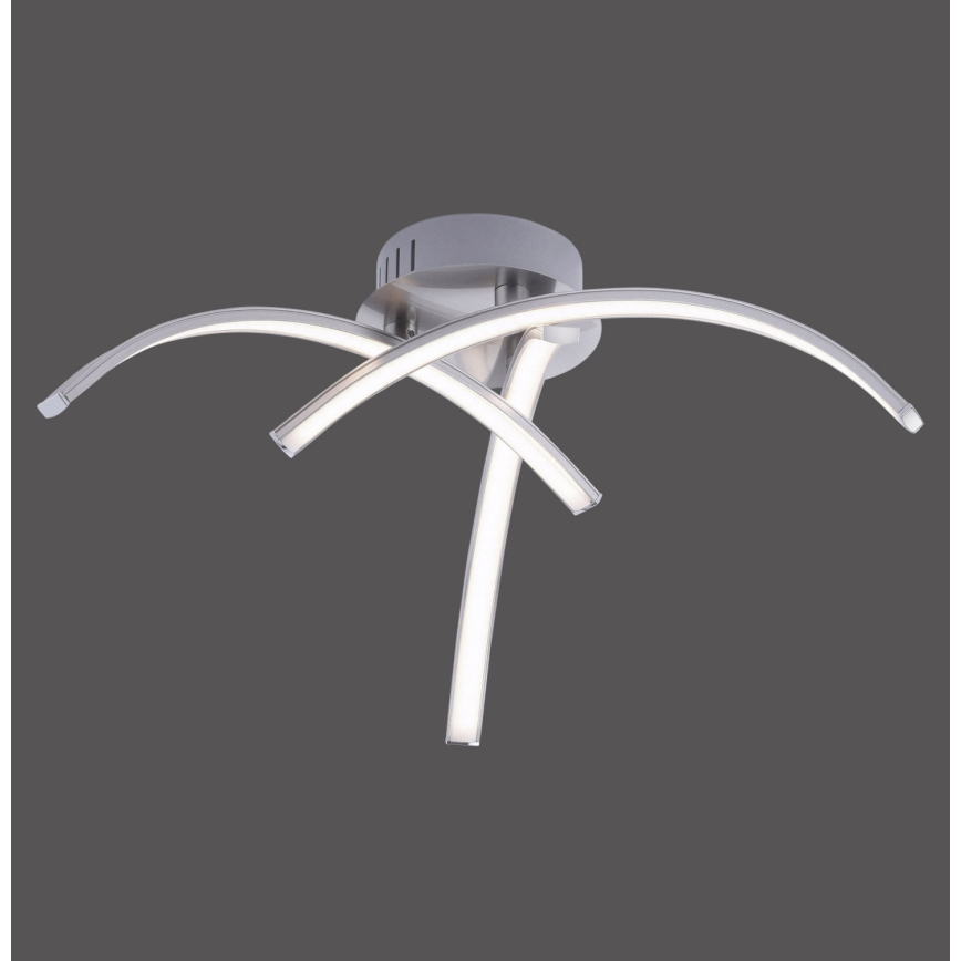 Leuchten Direkt 15341-55 - LED Żyrandol natynkowy VALERIE 3xLED/3,7W/230V