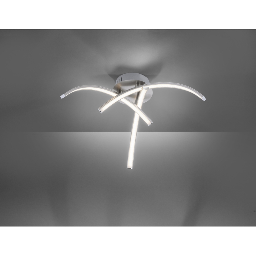 Leuchten Direkt 15341-55 - LED Żyrandol natynkowy VALERIE 3xLED/3,7W/230V
