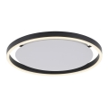 Leuchten Direkt 15391-13 - LED regulowane oświetlenie sufitowe RITUS LED/20W/230V czarny