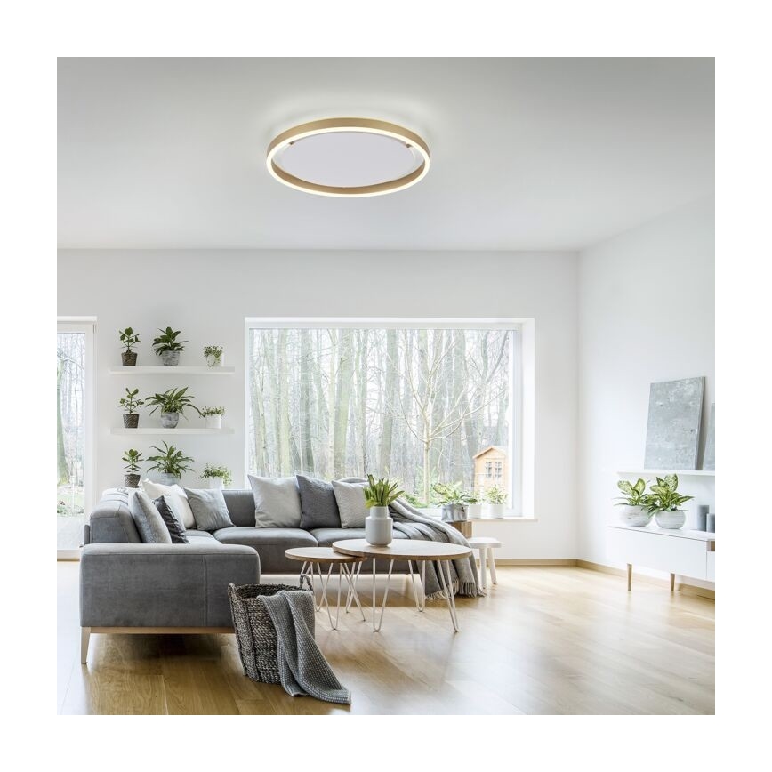 Leuchten Direkt 15391-60 - LED Ściemnialny plafon RITUS LED/20W/230V mosiądz