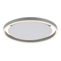 Leuchten Direkt 15391-95 - LED Plafon ściemnialny RITUS LED/20W/230V matowy chrom