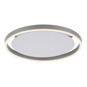 Leuchten Direkt 15391-95 - LED Plafon ściemnialny RITUS LED/20W/230V matowy chrom