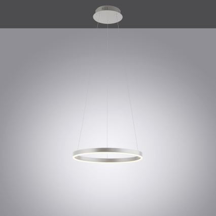 Leuchten Direkt 15393-95 - LED Żyrandol ściemnialny na lince RITUS LED/20W/230V matowy chrom