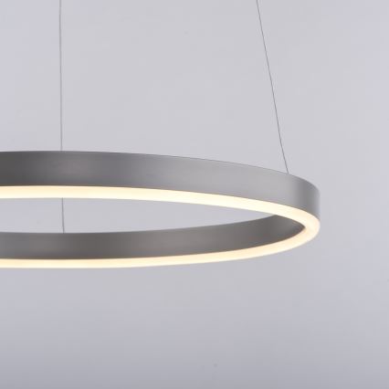 Leuchten Direkt 15393-95 - LED Żyrandol ściemnialny na lince RITUS LED/20W/230V matowy chrom