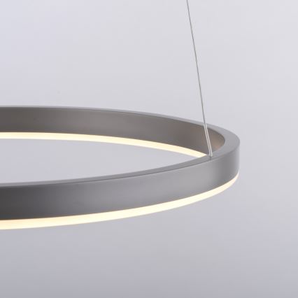 Leuchten Direkt 15393-95 - LED Żyrandol ściemnialny na lince RITUS LED/20W/230V matowy chrom