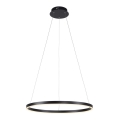 Leuchten Direkt 15394-13 - LED ściemnialny żyrandol na linkach RITUS LED/30W/230V czarny