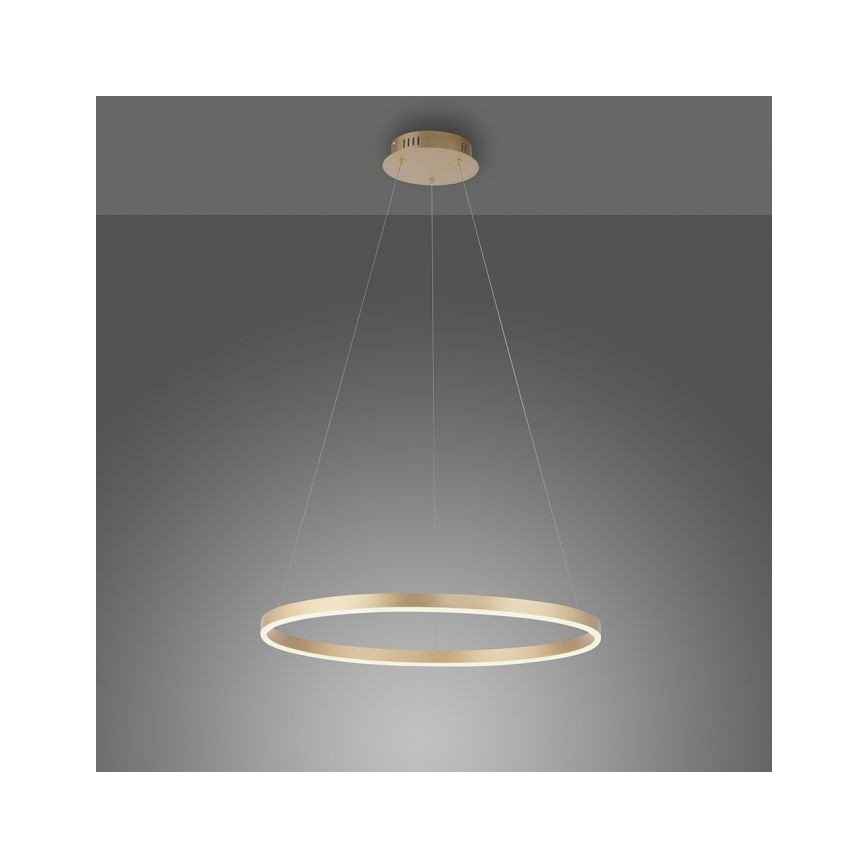 Leuchten Direkt 15394-60 - LED Ściemnialny żyrandol na lince RITUS LED/30W/230V mosiądz