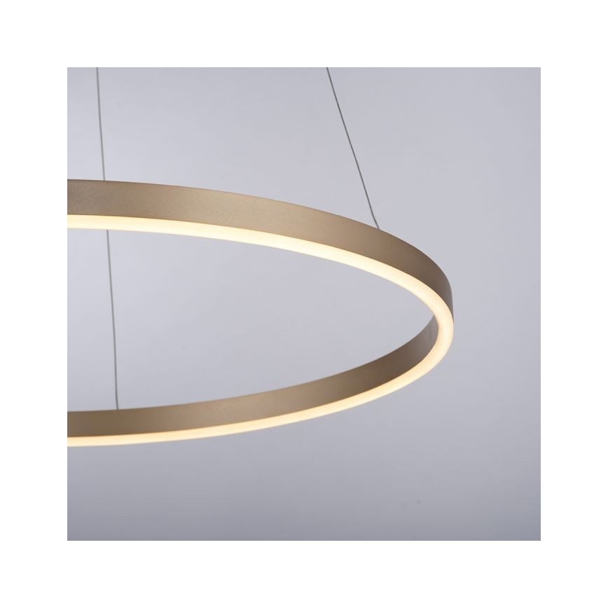 Leuchten Direkt 15394-60 - LED Ściemnialny żyrandol na lince RITUS LED/30W/230V mosiądz