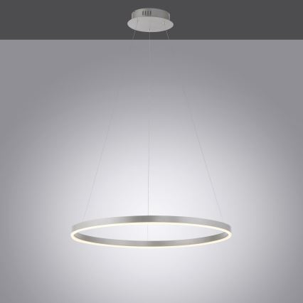 Leuchten Direkt 15394-95 - LED Żyrandol ściemnialny na lince RITUS LED/30W/230V matowy chrom