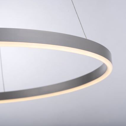 Leuchten Direkt 15394-95 - LED Żyrandol ściemnialny na lince RITUS LED/30W/230V matowy chrom