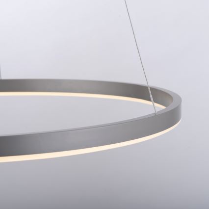 Leuchten Direkt 15394-95 - LED Żyrandol ściemnialny na lince RITUS LED/30W/230V matowy chrom
