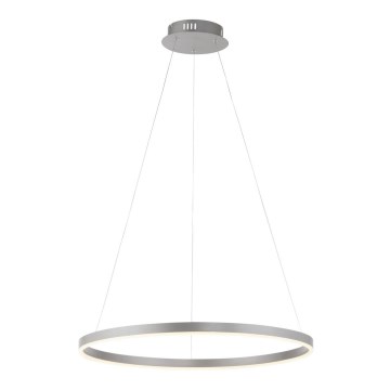 Leuchten Direkt 15394-95 - LED Żyrandol ściemnialny na lince RITUS LED/30W/230V matowy chrom