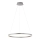 Leuchten Direkt 15394-95 - LED Żyrandol ściemnialny na lince RITUS LED/30W/230V matowy chrom