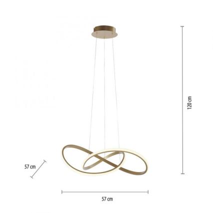 Leuchten Direkt 15402-60 - LED Ściemnialny żyrandol na lince MARIA LED/25W/230V