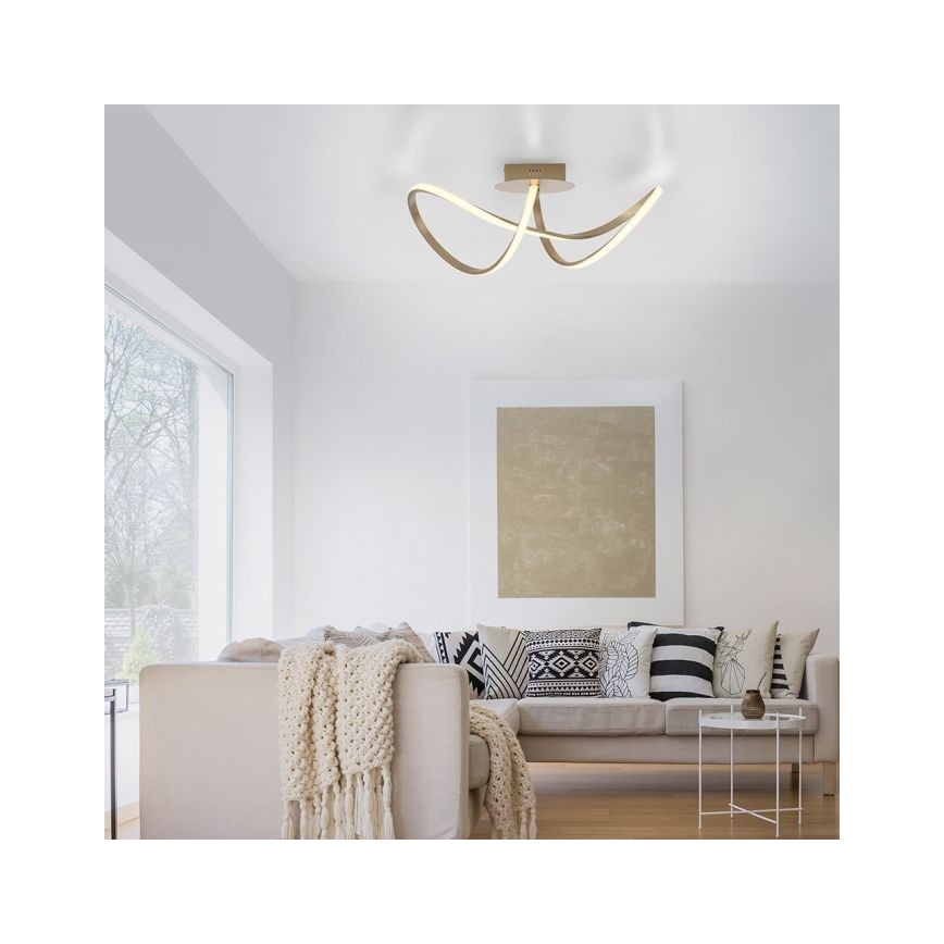 Leuchten Direkt 15403-60 - LED Ściemnialny żyrandol natynkowy MARIA LED/15,5W/230V