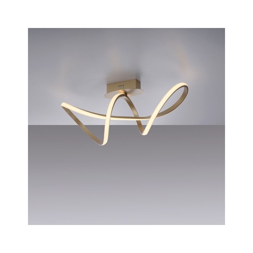 Leuchten Direkt 15403-60 - LED Ściemnialny żyrandol natynkowy MARIA LED/15,5W/230V