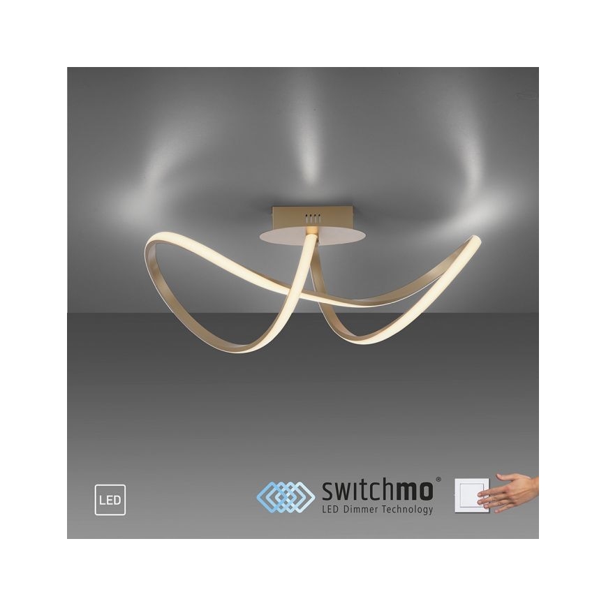 Leuchten Direkt 15403-60 - LED Ściemnialny żyrandol natynkowy MARIA LED/15,5W/230V