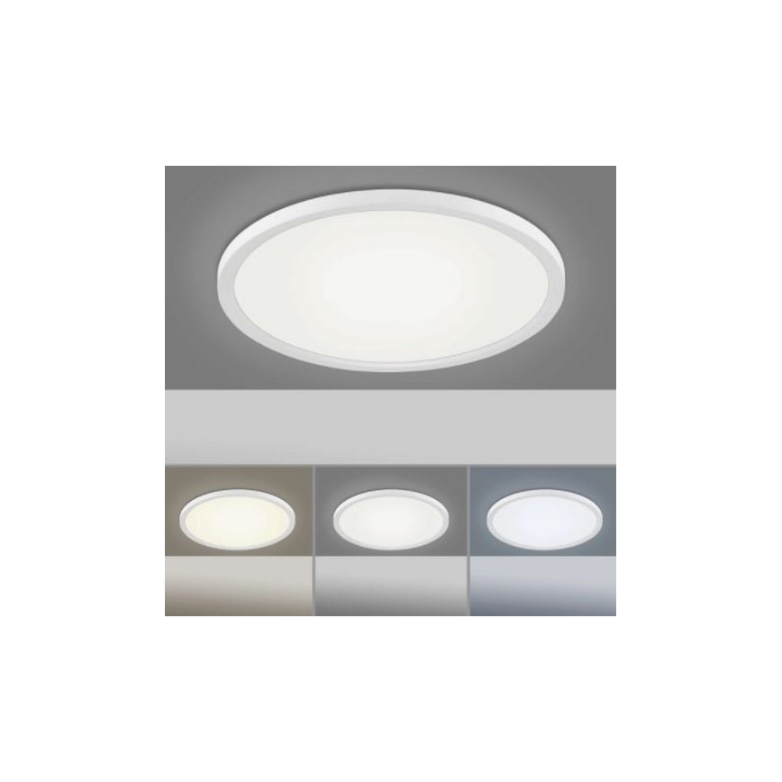 Leuchten Direkt 15571-16 - LED Ściemniany plafon FLAT LED/23,5W/230V 2700-5000K + pilot