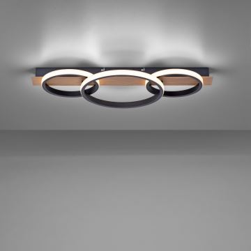 Leuchten Direkt 15616-78 - LED Plafon TROOPER LED/37W/230V