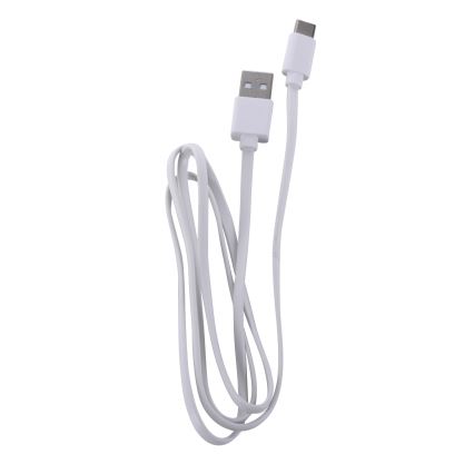 Leuchten Direkt 19250-16 - LED Zewnętrzna ściemnialna akumulatorowa lampa stołowa EURIA LED/3W/5V 2600 mAh IP54 biały
