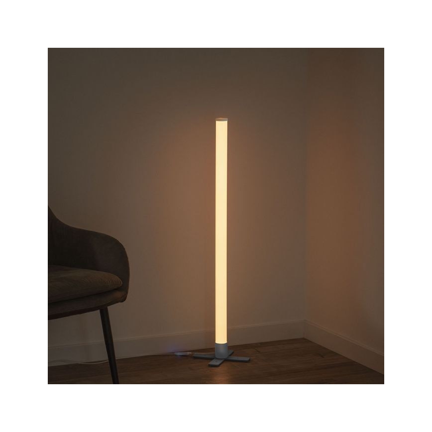 Leuchten Direkt 19902-21 - LED RGB Ściemniana lampa RINGO LED/10W/230V+pilot