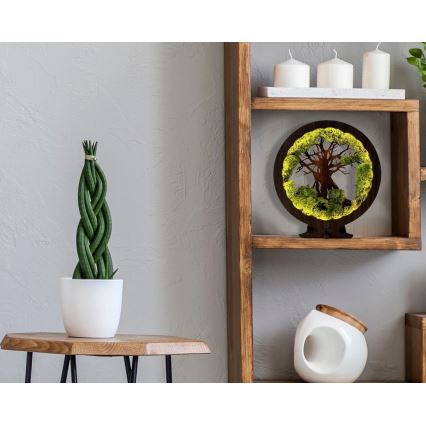 Li-Go 23604/DUB2 - Ściemnialna dekoracyjna lampa stołowa LED/12W/230V 20x22 cm dąb/mech i drzewo