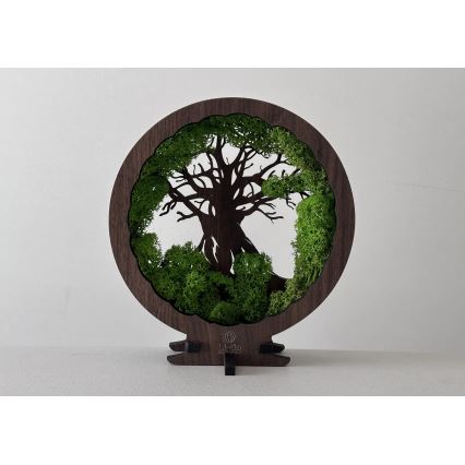 Li-Go 23604/DUB2 - Ściemnialna dekoracyjna lampa stołowa LED/12W/230V 20x22 cm dąb/mech i drzewo
