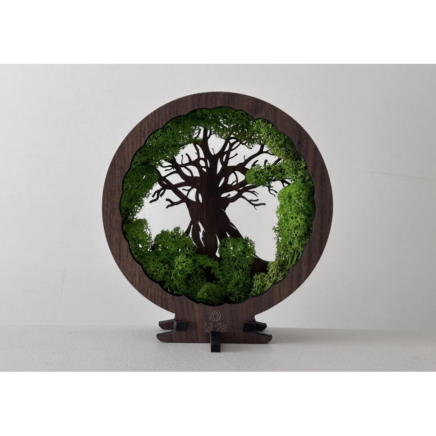 Li-Go 23604/DUB2 - ściemnialna dekoracyjna lampa stołowa LED/12W/230V 20x22 cm dąb/mech i drzewo