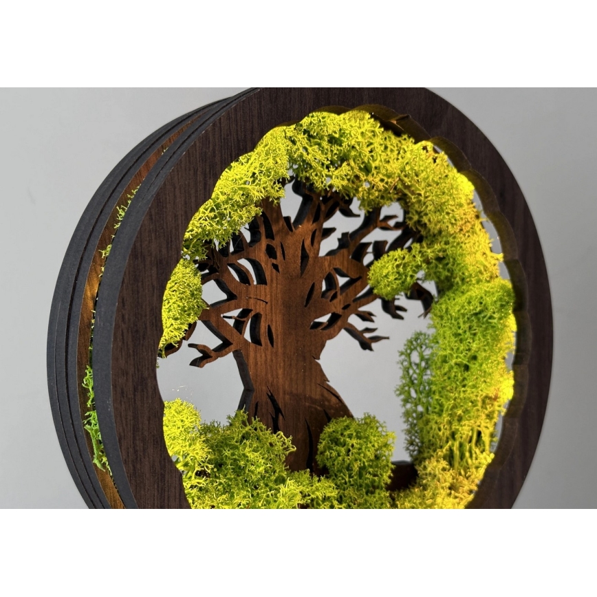 Li-Go 23604/DUB2 - ściemnialna dekoracyjna lampa stołowa LED/12W/230V 20x22 cm dąb/mech i drzewo